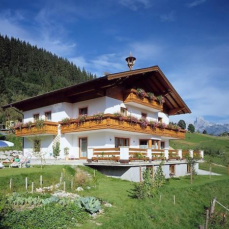 Ferienhaus Rosi Sankt Martin am Tennengebirge Bagian luar foto